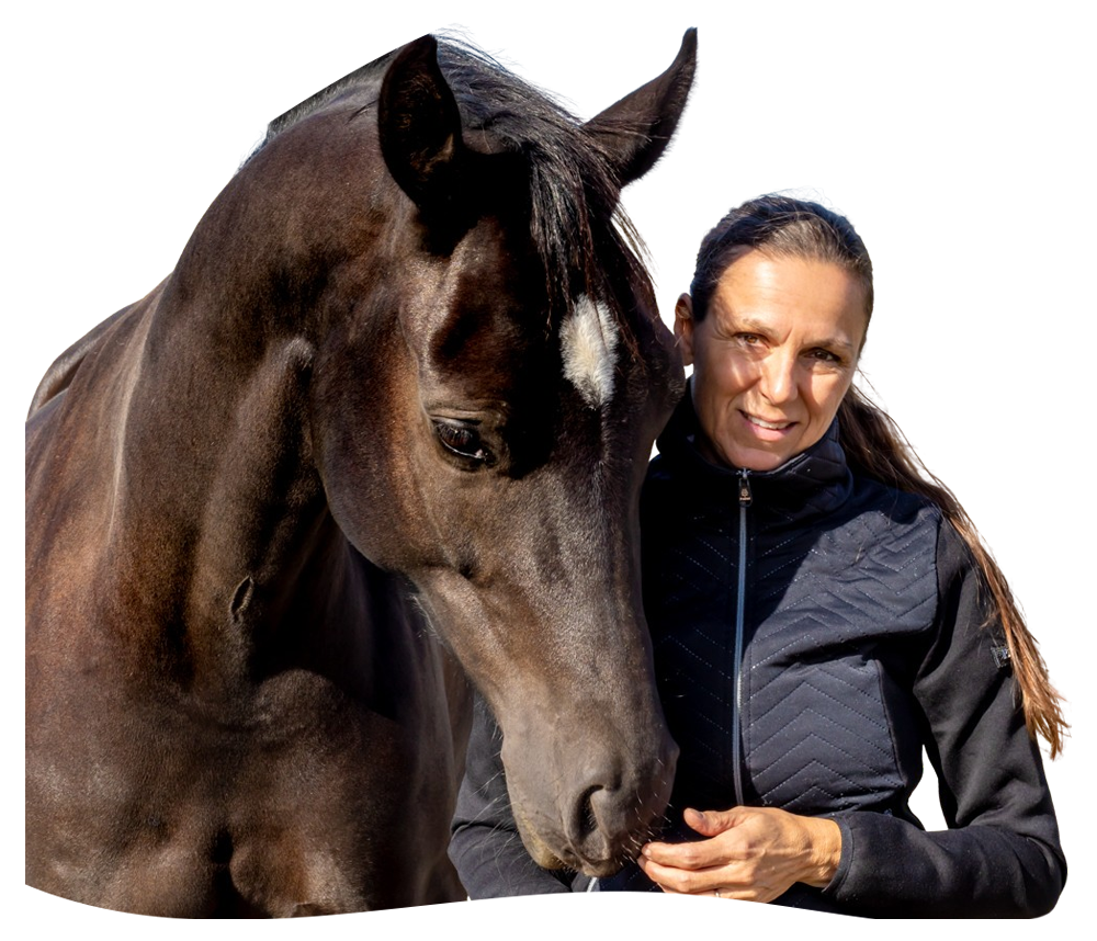 1Frilagt-kitt-og-hest